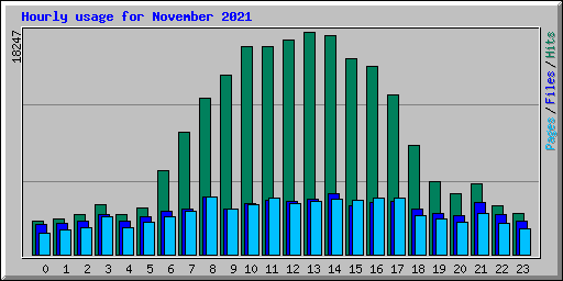 Hourly usage for November 2021