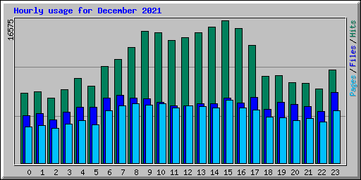 Hourly usage for December 2021