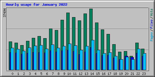 Hourly usage for January 2022