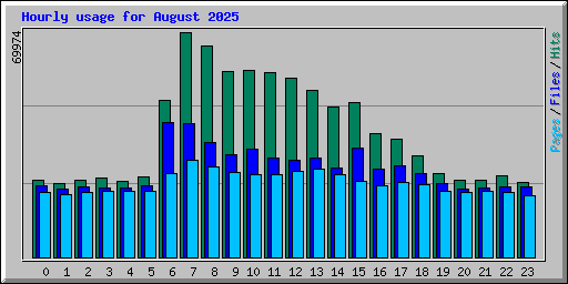 Hourly usage for August 2025