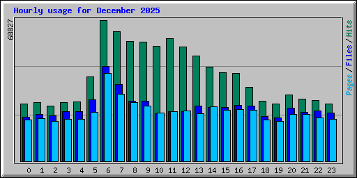 Hourly usage for December 2025