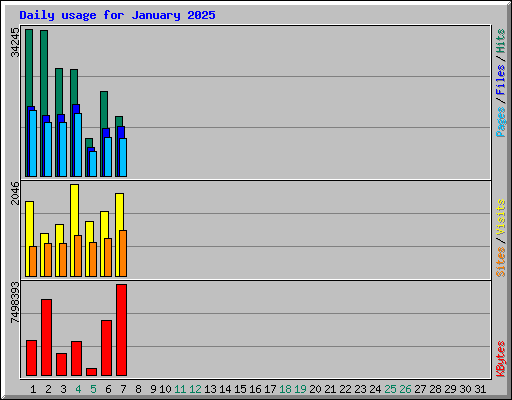 Daily usage for January 2025