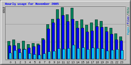 Hourly usage for November 2005