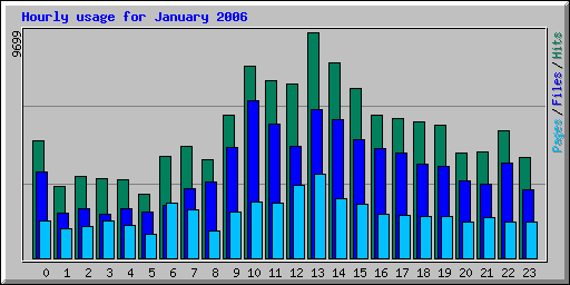 Hourly usage for January 2006