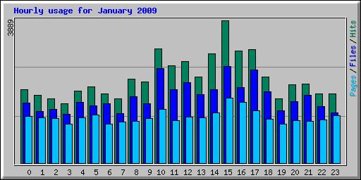 Hourly usage for January 2009
