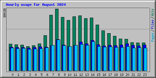 Hourly usage for August 2024