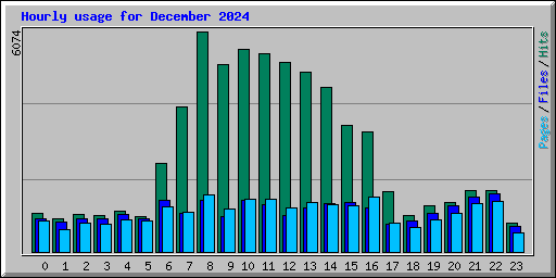 Hourly usage for December 2024