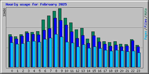 Hourly usage for February 2025