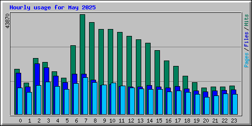 Hourly usage for May 2025