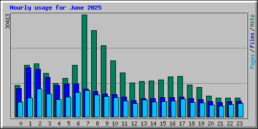 Hourly usage for June 2025