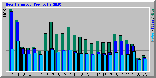 Hourly usage for July 2025