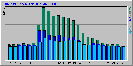 Hourly usage for August 2025