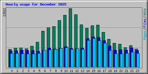Hourly usage for December 2025