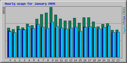 Hourly usage for January 2026