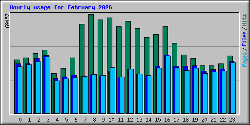 Hourly usage for February 2026
