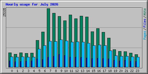 Hourly usage for July 2026
