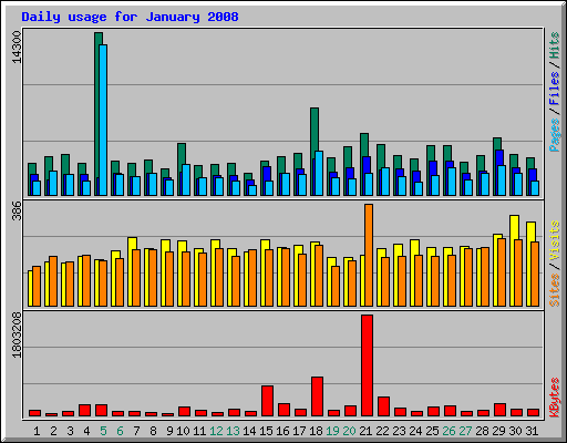 Daily usage for January 2008