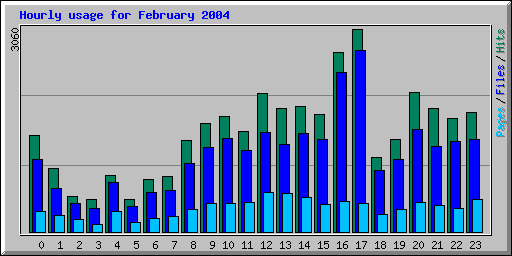 Hourly usage for February 2004