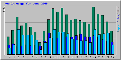 Hourly usage for June 2006