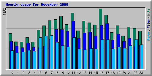 Hourly usage for November 2008