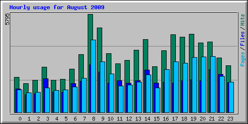 Hourly usage for August 2009