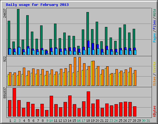 Daily usage for February 2013