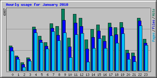 Hourly usage for January 2010