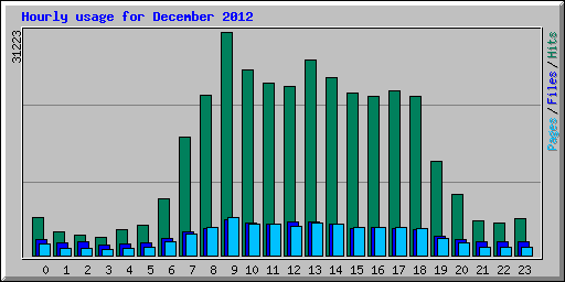 Hourly usage for December 2012