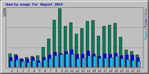 Hourly usage for August 2015