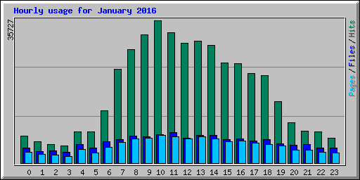 Hourly usage for January 2016