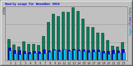 Hourly usage for November 2018
