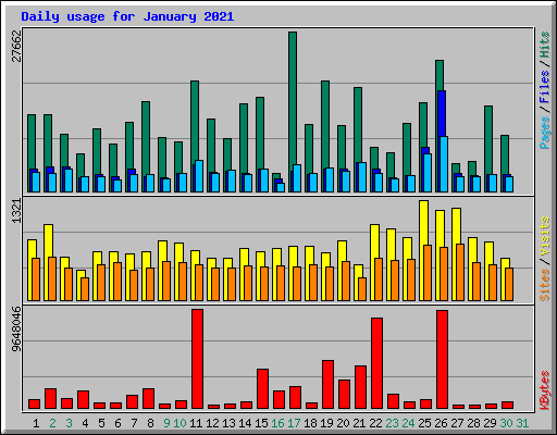 Daily usage for January 2021