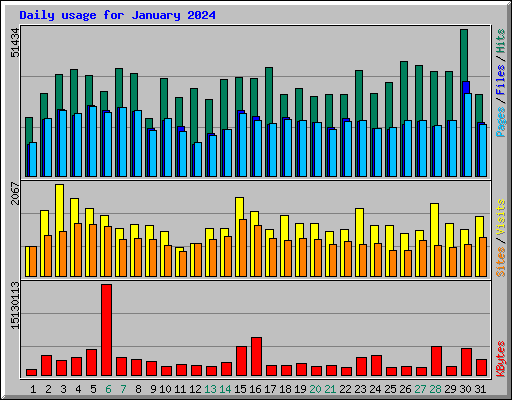 Daily usage for January 2024
