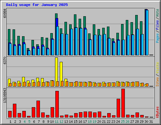 Daily usage for January 2025