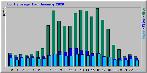 Hourly usage for January 2020