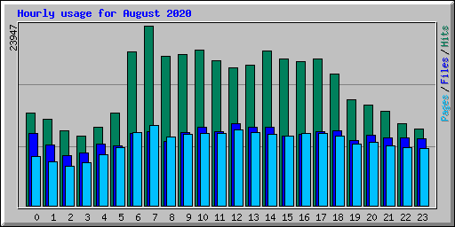 Hourly usage for August 2020