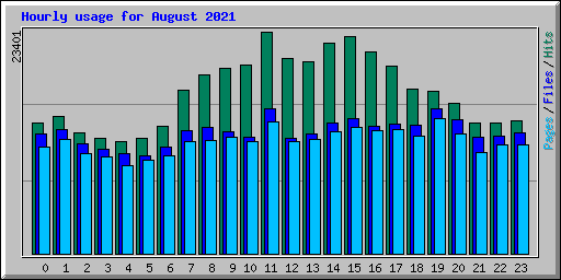 Hourly usage for August 2021