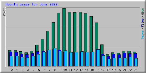 Hourly usage for June 2022