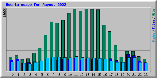 Hourly usage for August 2022