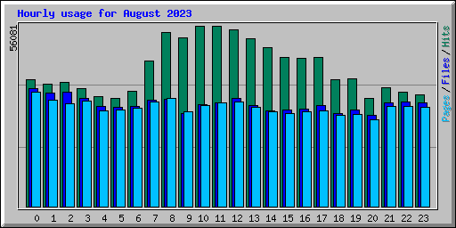 Hourly usage for August 2023