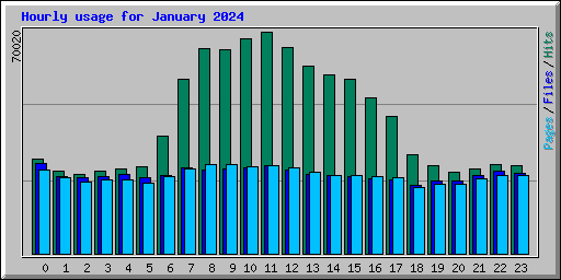 Hourly usage for January 2024