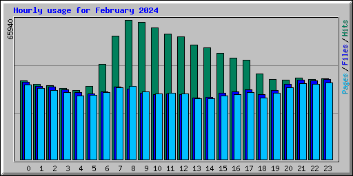 Hourly usage for February 2024