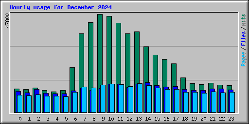 Hourly usage for December 2024