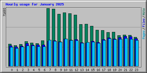 Hourly usage for January 2025