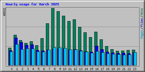 Hourly usage for March 2025