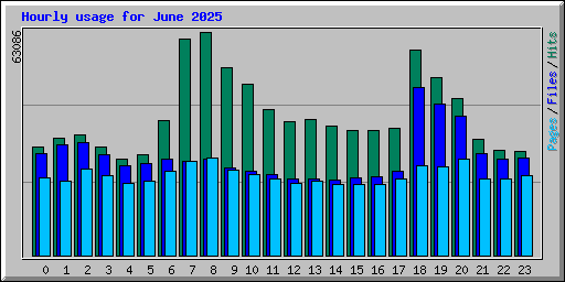Hourly usage for June 2025