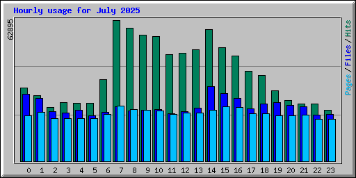 Hourly usage for July 2025
