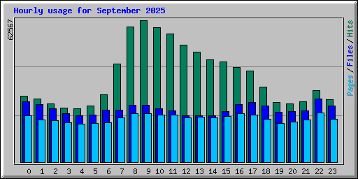 Hourly usage for September 2025