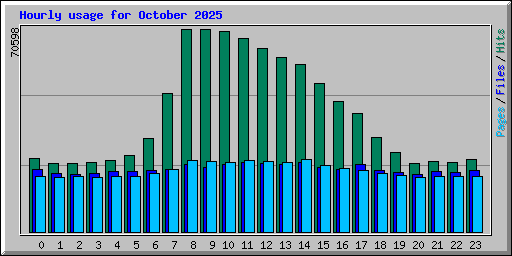Hourly usage for October 2025