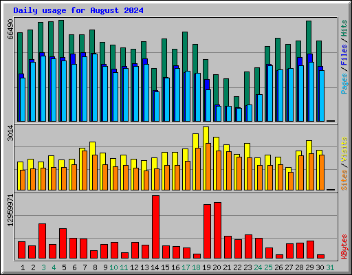 Daily usage for August 2024